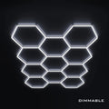 11 Hex Grid Dimmable
