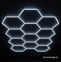 12 Hex Grid Dimmable