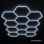 Dimmable 12 Hex Grid (12.33' x 7.92')