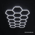 15 Hex Grid Dimmable