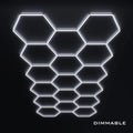 17 Hex Grid Dimmable