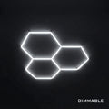 3 Hex Grid Dimmable