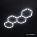 4 Hex Grid Dimmable
