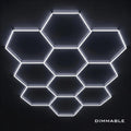 10 Hex Grid Dimmable