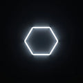Single Hex Grid Non Dimmable