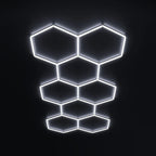 8 Hex Grid (12.83' x 5.58')