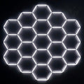 19 Hex Grid Non Dimmable