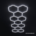 Dimmable 11 Hex Grid (16.40' x 5.58')