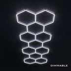 Dimmable 11 Hex Grid (16.40' x 5.58')